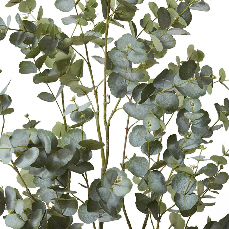 Eucalyptus Tree Grey Green 70x60x170cm