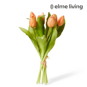 Ronis Tulip Petite Bundle Apricot 22x22x30cm – thumbnail