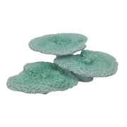 Ronis Turtle On Coral with Coral Base 8cm Assorted – thumbnail