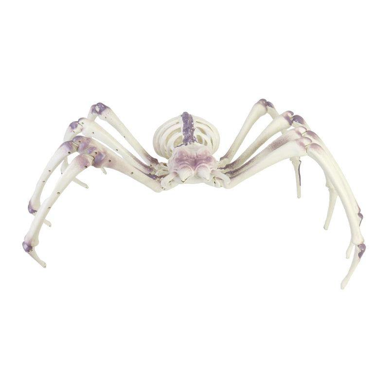 Skeleton Spider 80cm Halloween Skeleton