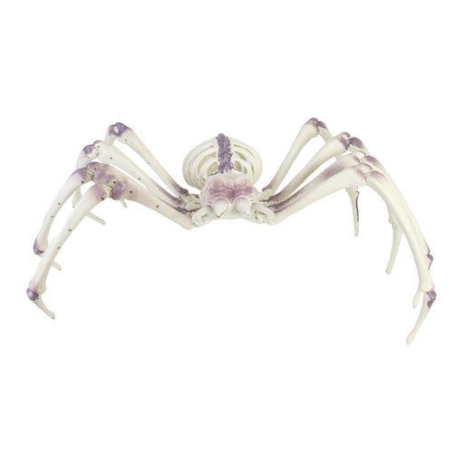 Skeleton Spider 80cm Halloween Skeleton
