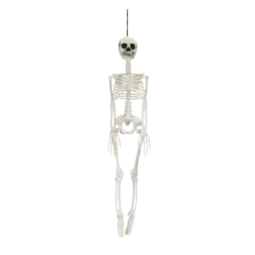 Hanging Skeleton 80cm Halloween Skeleton