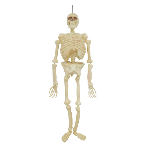 Skeleton 1.5m Halloween Skeleton
