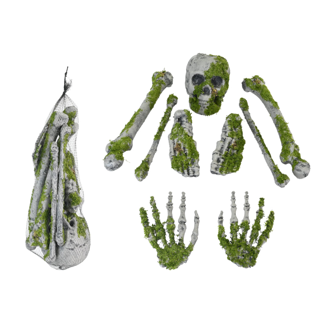 Moss Bone Set 44cm - Halloween Skeleton — Ronis