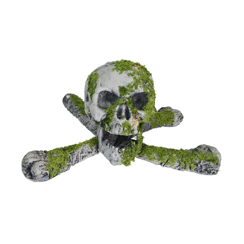 Moss Skull And Bones 19cm Halloween Skeleton