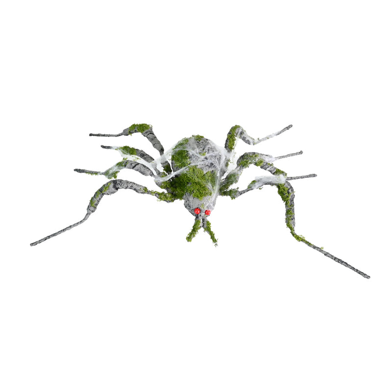 Moss Spider 61cm Halloween Skeleton
