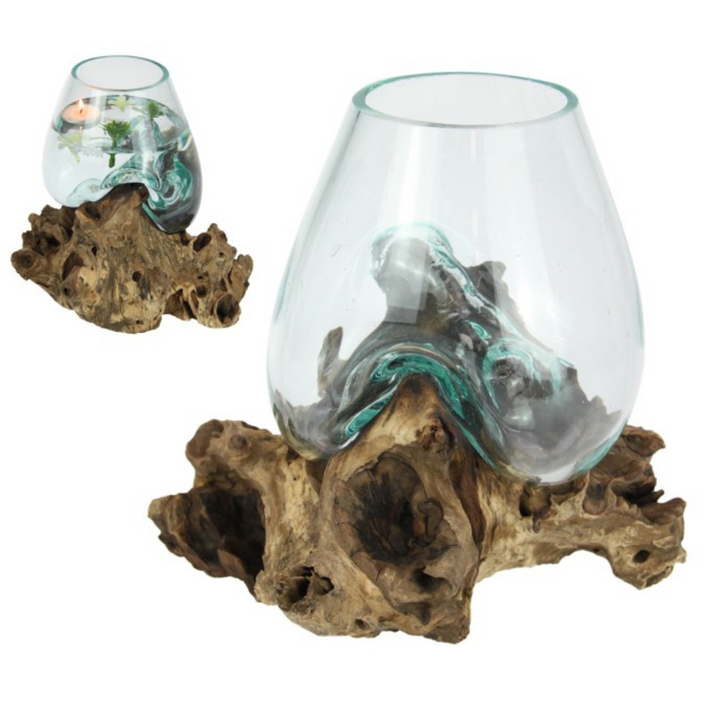 Ronis Unique Hand Blown Glass Fish Bowl Terrarium On Natural Driftwood 22cm