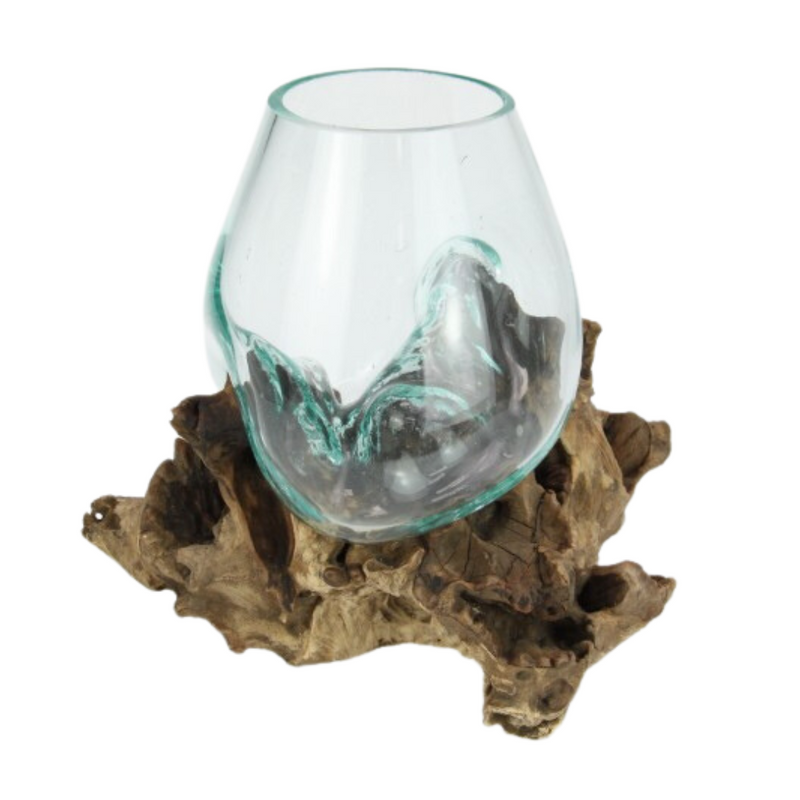 Ronis Unique Hand Blown Glass Fish Bowl Terrarium On Natural Driftwood 22cm