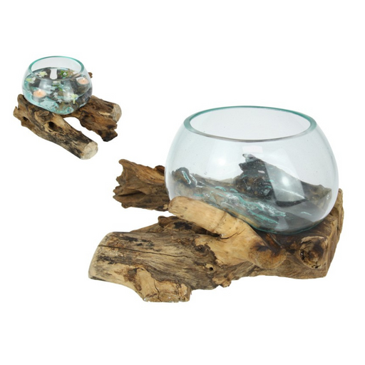 Ronis Unique Hand Blown Glass Fish Bowl/Terrarium on Natural Driftwood 35x20cm