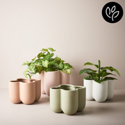 Ronis Vase Nirassa Light Pink 20cmlx18cmh – thumbnail