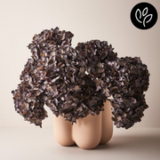 Ronis Vase Nirassa Nude 20cmlx18cmh – thumbnail