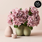 Ronis Vase Nirassa Pistachio 20cmlx18cmh – thumbnail