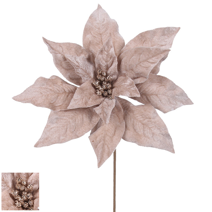 Ronis Velour Champagne 27cm with Stem 45cm