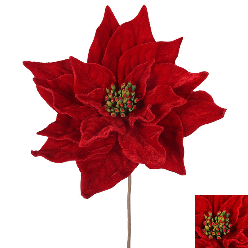 Ronis Velour Poinsettia 26cm with 30cm Stem Red