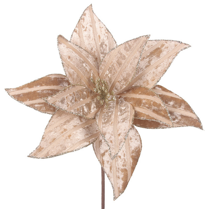 Champagne velour poinsettia 31cm with 50cm stem and 11 petals for holiday décor