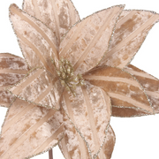 Champagne velour poinsettia 31cm with 50cm stem and 11 petals for holiday décor
