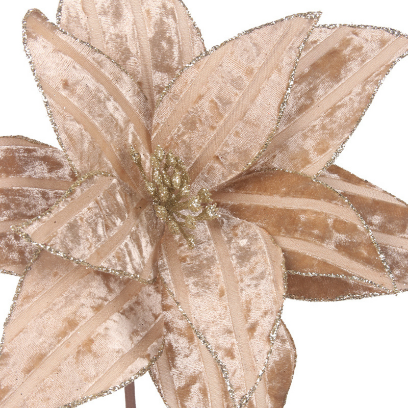 Champagne velour poinsettia 31cm with 50cm stem and 11 petals for holiday décor