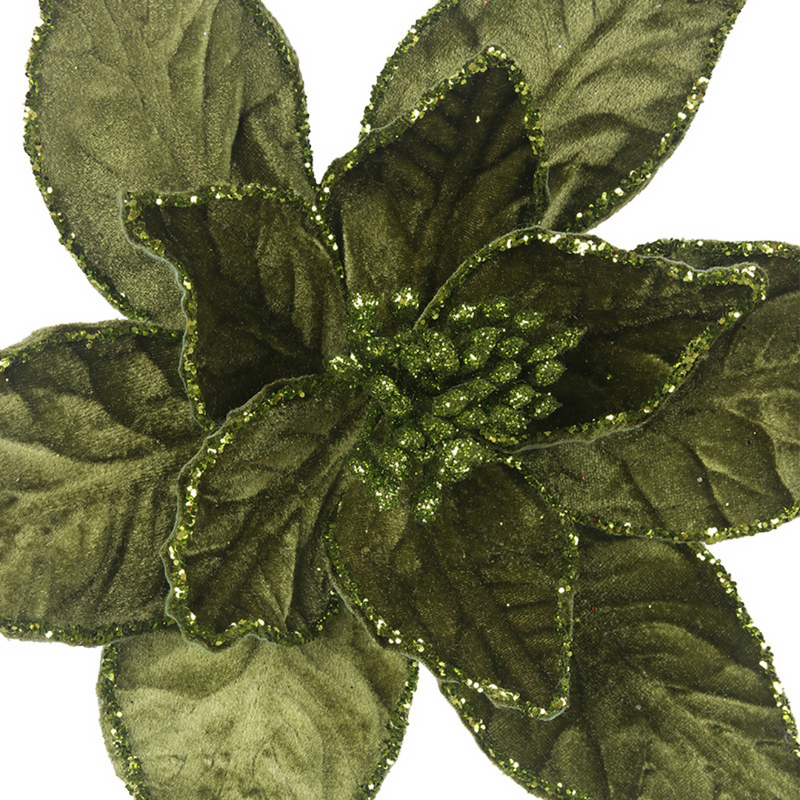 Ronis Velour Poinsettia Stem 30cmD x 50cmL Sage Green