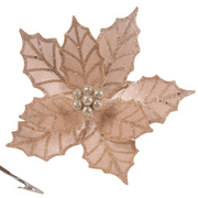 Ronis Velour Poinsettia with Clip 28cmD Champagne