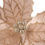 Ronis Velour Poinsettia with Clip 28cmD Champagne