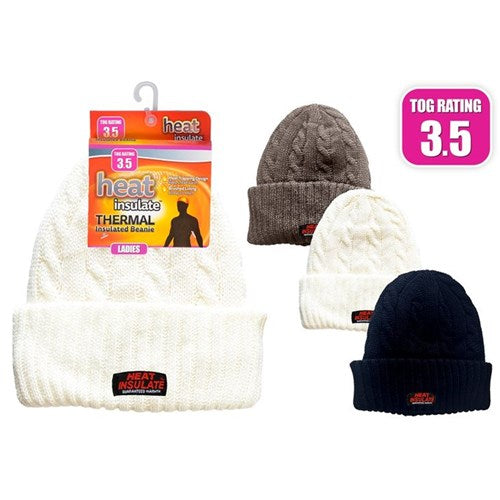 Ladies Heat Insulate Knitted Beanie
