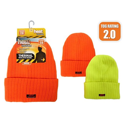 Heat Insulate Flouro Beanie 2Asstd