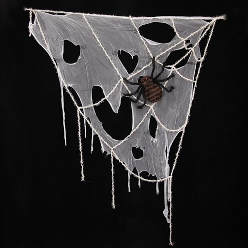 Ronis Window Spiderweb With Spider 2M