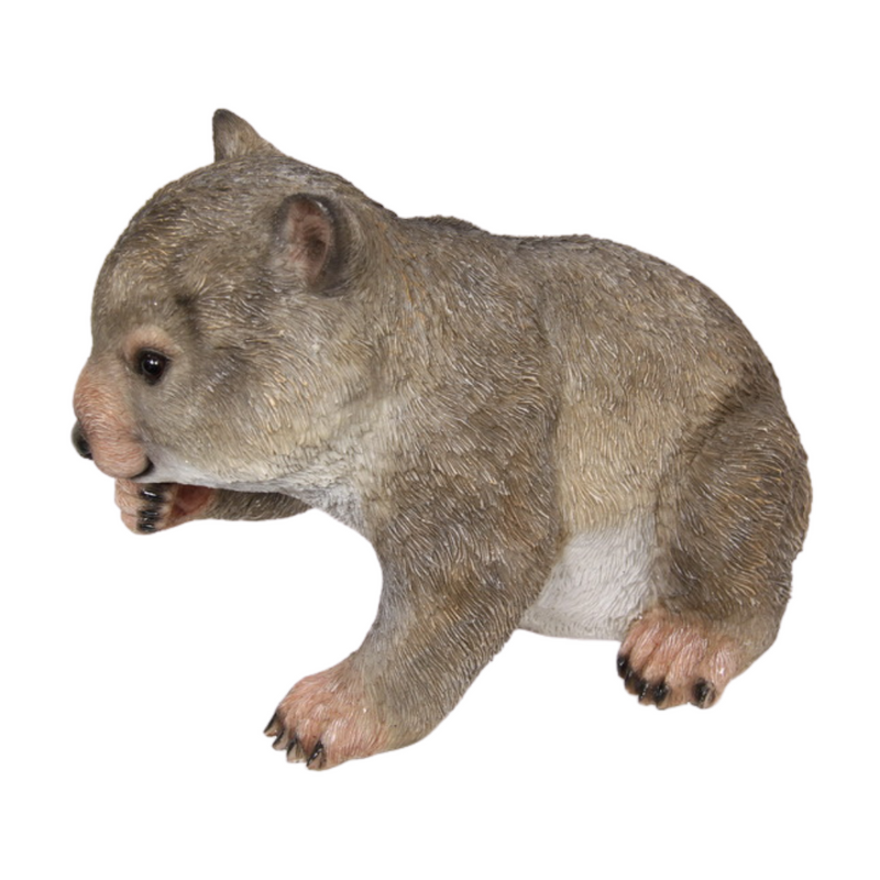 Ronis Wombat Eating Leaves 29cm