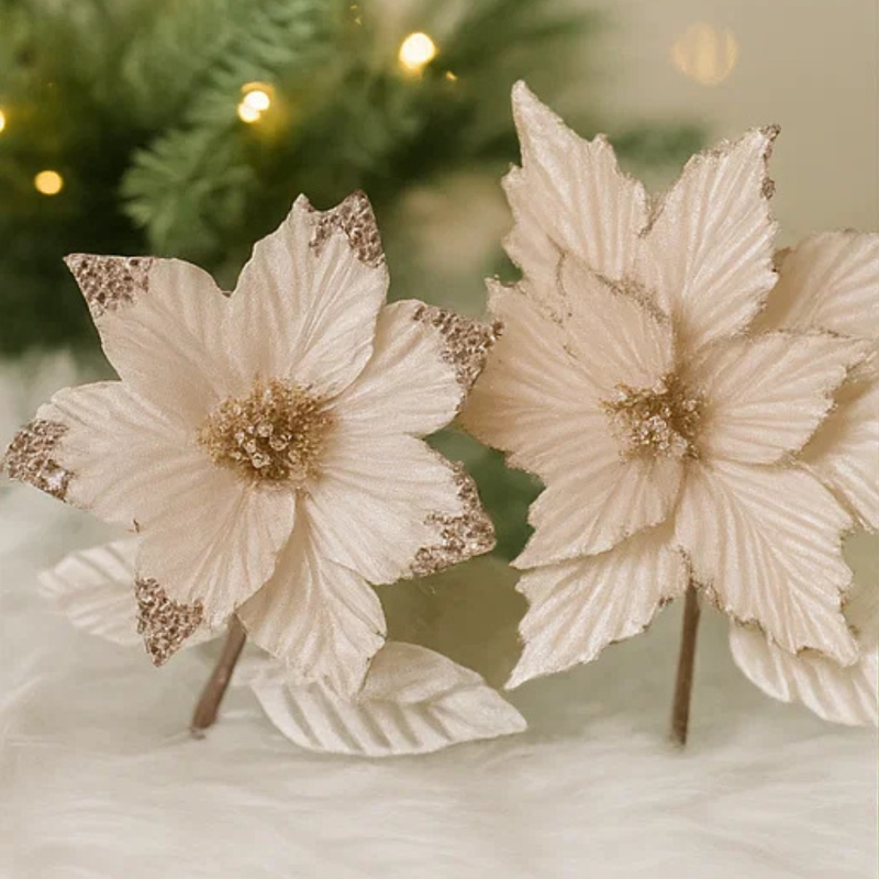 Magnolia and Poinsettia Stem with Leaf Champagne 30cm/23cm