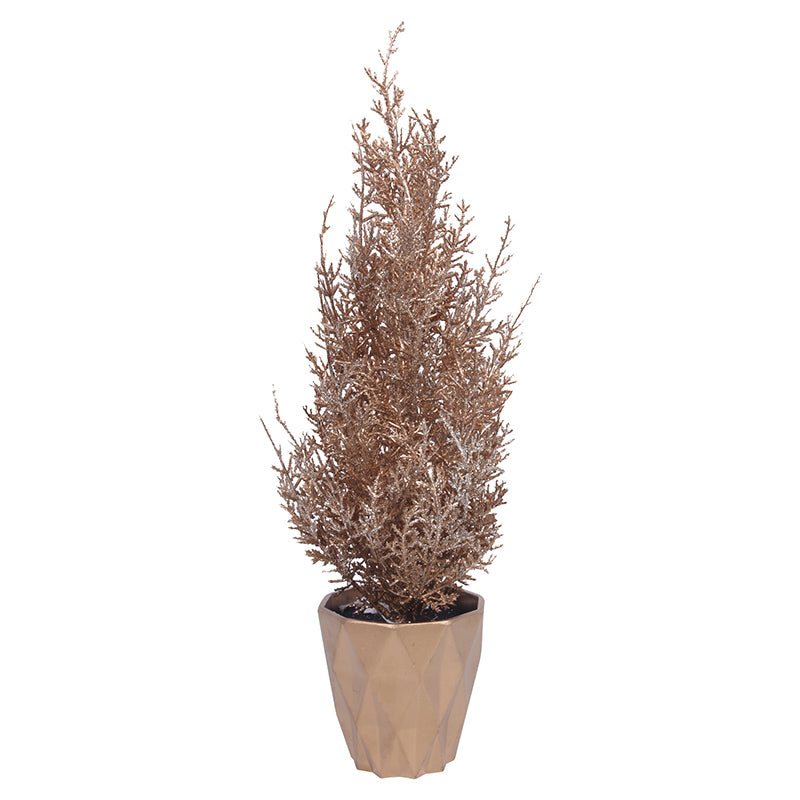 Gold Tree In Pot 40cm