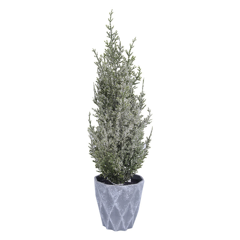 Tree In Pot 40cm