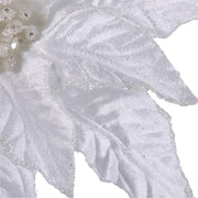 White Poinsettia 32cm W/50cm Stem 2 Asstd – thumbnail
