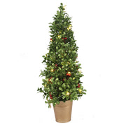 Buxis W/Berries & Lights Tree In Gold Pot 20x20x50cm