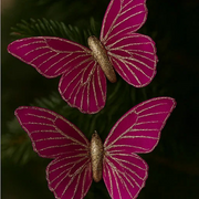 Red Butterfly W/Clip 9cm 2pk – thumbnail