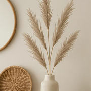 Champagne Pampas Stem 113cm – thumbnail
