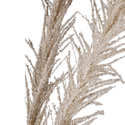 Champagne Pampas Stem 113cm – thumbnail