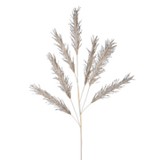 Champagne Pampas Stem 113cm – thumbnail