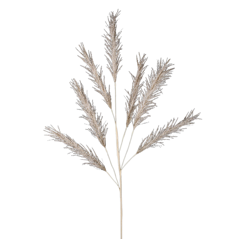Champagne Pampas Stem 113cm
