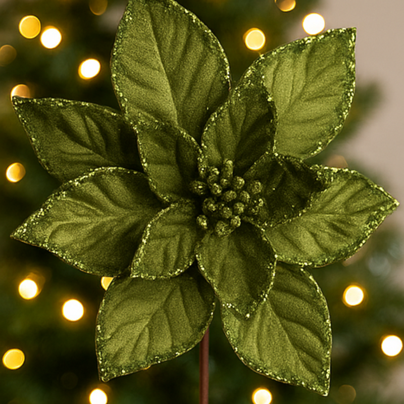 Decorative green poinsettia plant against a blurred Christmas tree background with lights.