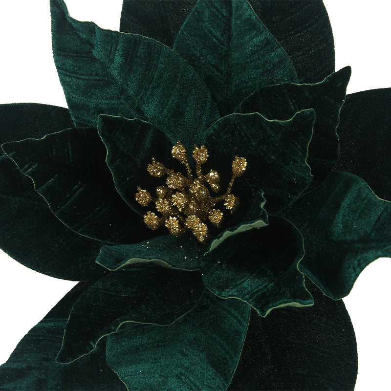 Emerald Green Poinsettia with 31cm bloom and 50cm stem, perfect for Christmas bouquets and seasonal decorations.