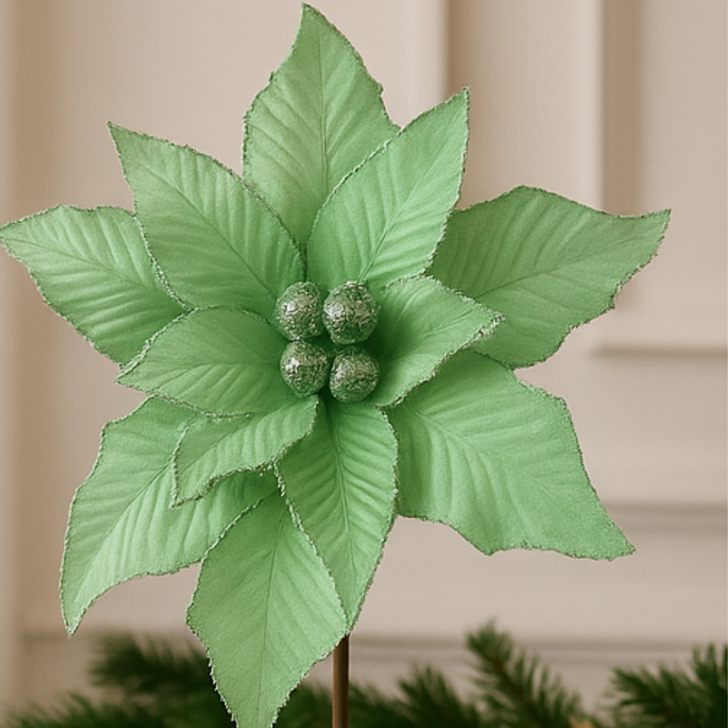 Decorative green poinsettia plant against a neutral background