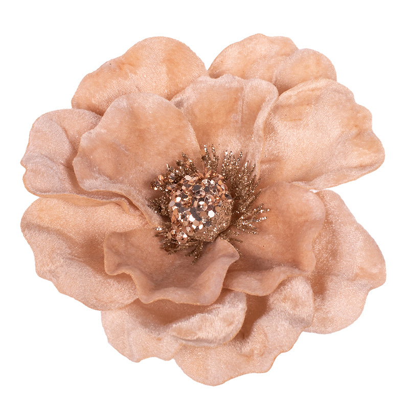 Ecru Magnolia with Clip 12x15cm