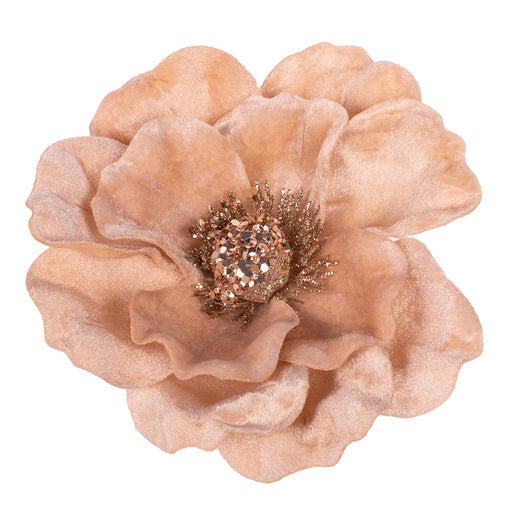 Ecru Magnolia with Clip 12x15cm