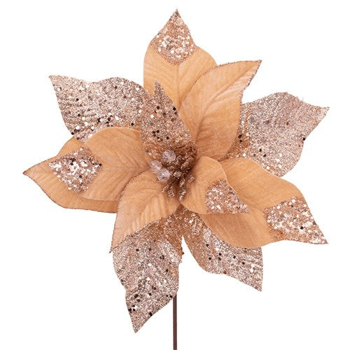 Biscotti with Rose Glitter Poinsettia Stem 30cm