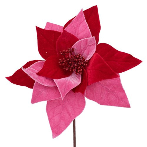 Red & Candy Pink Poinsettia 28cm with 50cm Stem