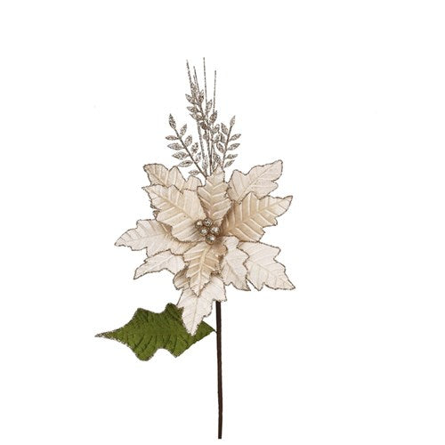 Gold Velvet Poinsettia 58cm with Leaf & Champagne Glitter Sray