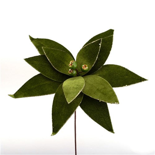 Green Poinsettia 35cm with Gumnuts In Centre with Champagne Glitter Detail 30cm Flower with 60cm Stem