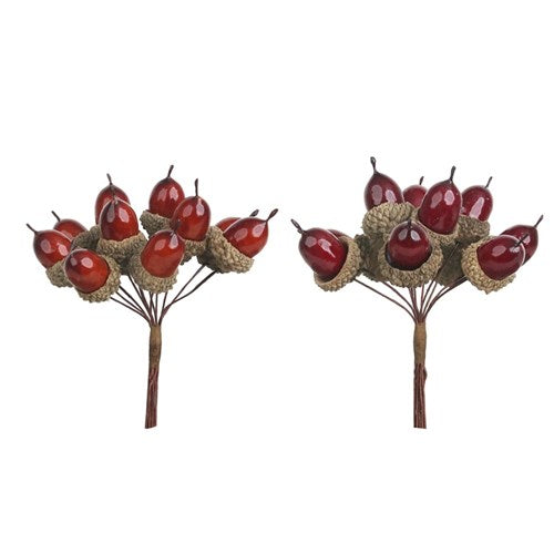 Acorn Bunch 13cm 2 assorted