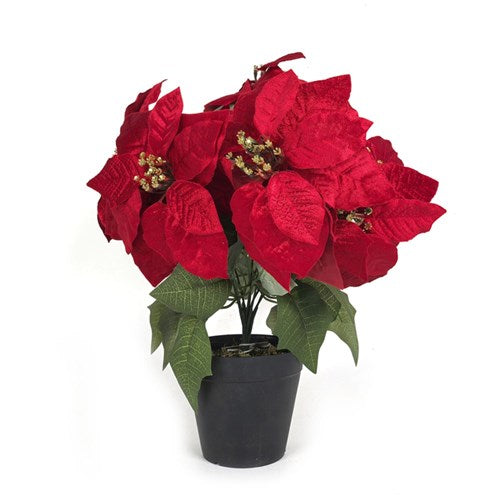 Red Poinsettia Pot 9 Head 38X42cm