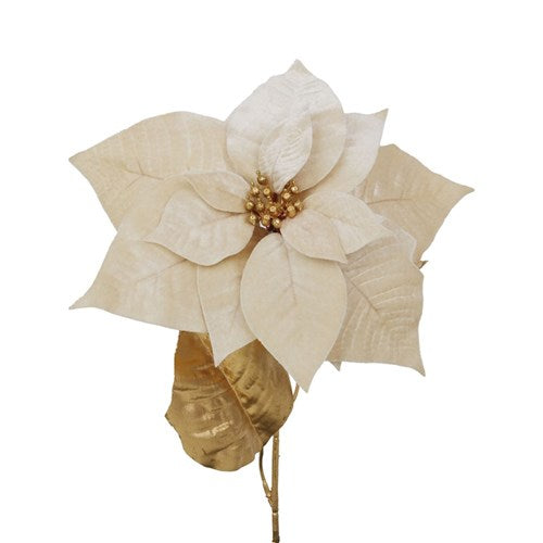 Ivory Poinsettia with Gold Stem & Leaf 66cm